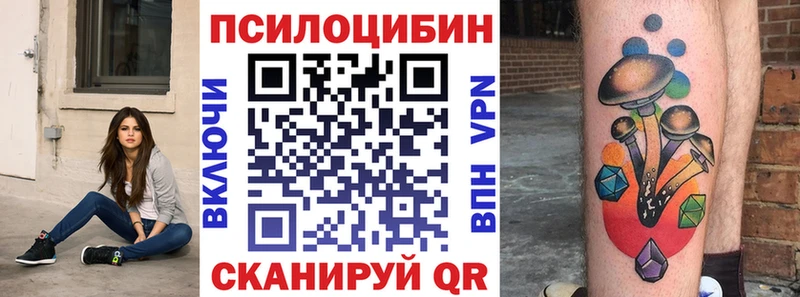 купить закладку  Болхов  Псилоцибиновые грибы Cubensis 